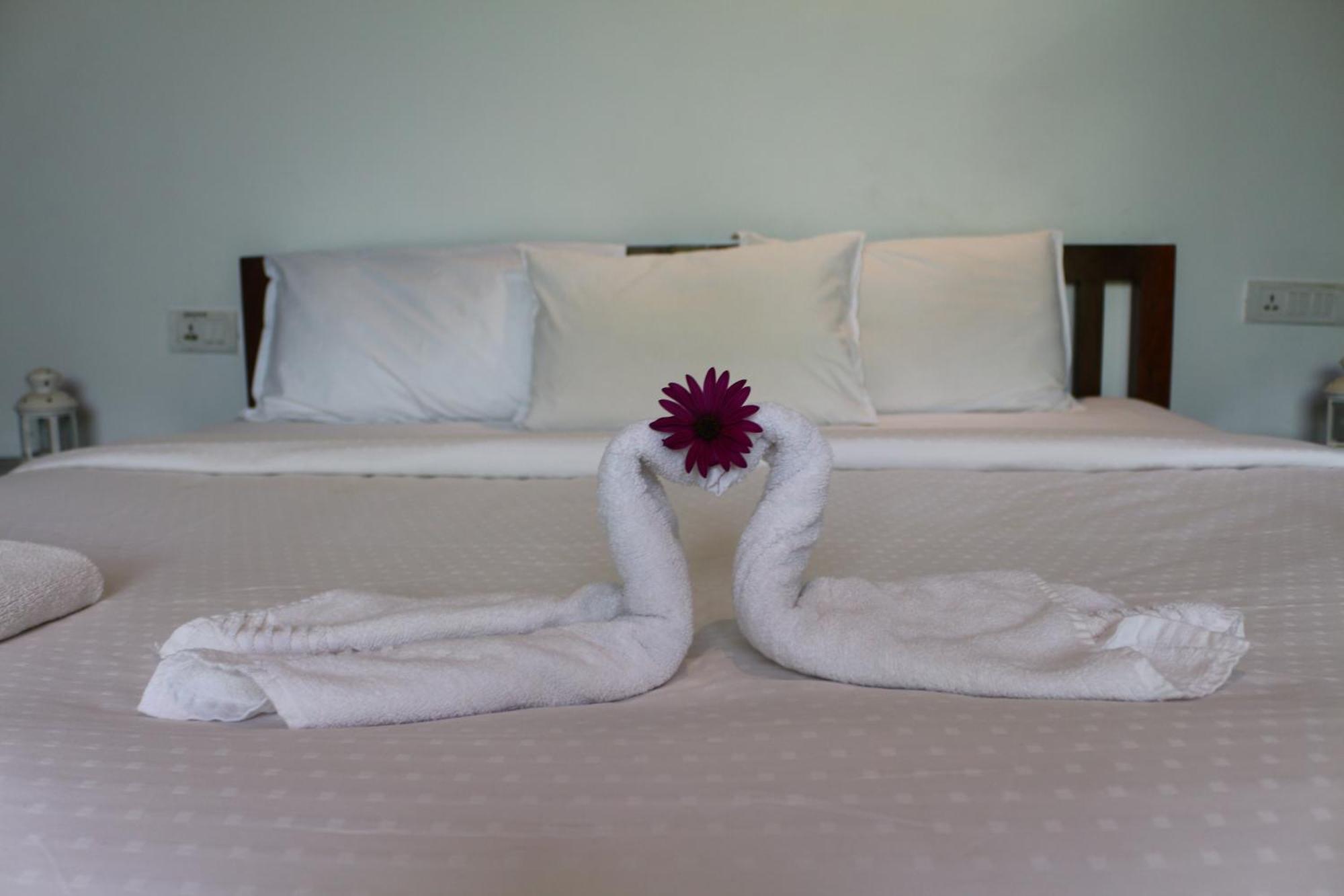 Logan Camp Ooty Hotell Coonoor Exteriör bild