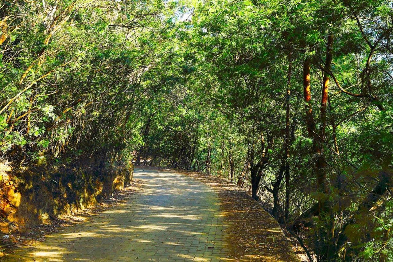 Logan Camp Ooty Hotell Coonoor Exteriör bild